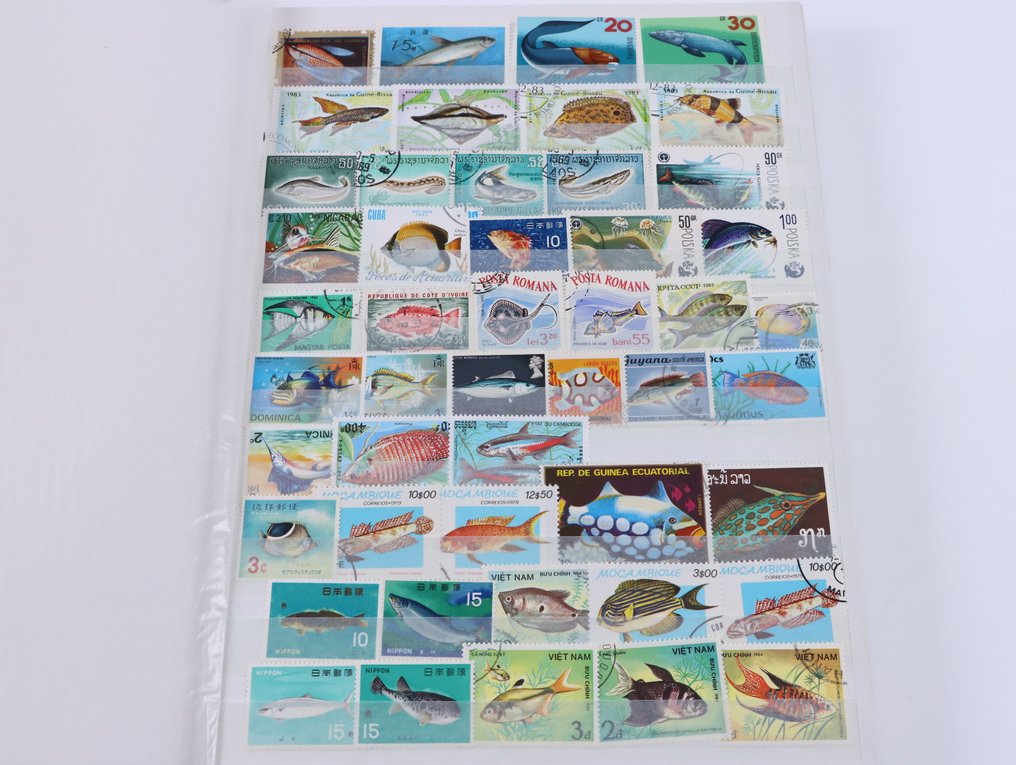 Κόσμος - Θέμα: συλλογή ψαριών σε 2 λευκώματα. #1.0