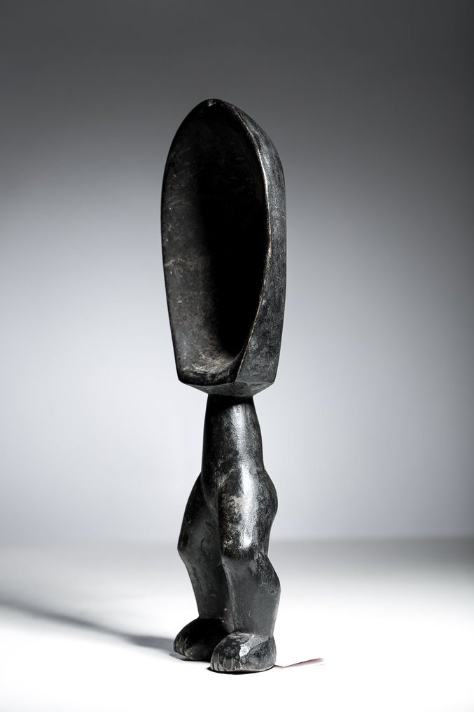 Wakemia-ske - Dan - Elfenbenskysten  (Ingen mindstepris) #3.2