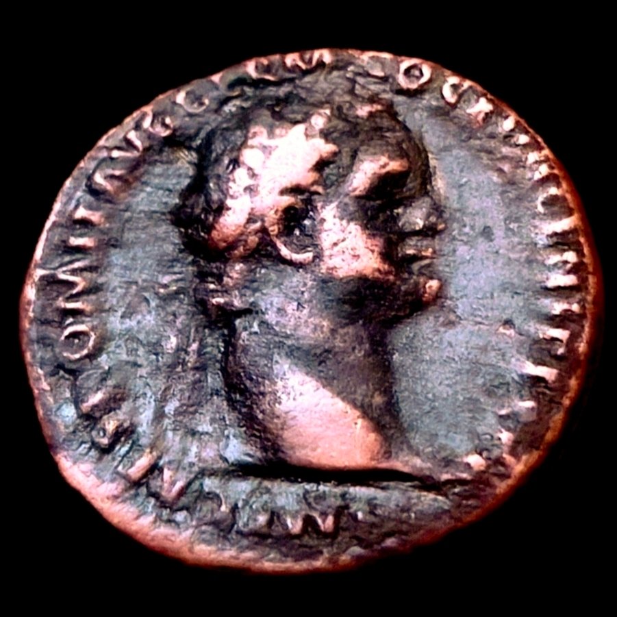 Ρωμαϊκή Αυτοκρατορία. Domitian (AD 81-96). Æ Bronze As Vitus  (χωρίς τιμή ασφαλείας) #1.0