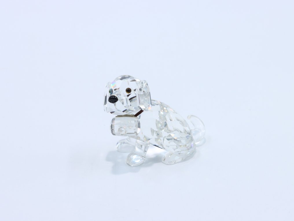Φιγούρα - Swarovski - St Bernard pup (Boxed + certificate) - Κρύσταλλο #1.0