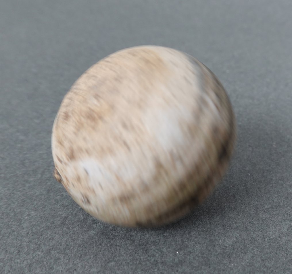 Jiajing (1522-1566) - Purkki - Sininen ja valkoinen Ming-dynastian pallomainen malja - Posliini - Persikka ja lehtikuvioita #4.3