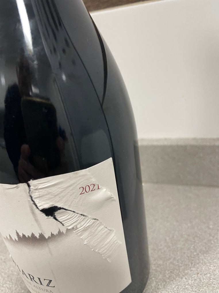 2021 Raúl Pérez, Viariz - Bierzo - 1 Flaske (0,75L) #1.0
