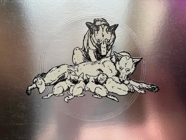 Bad Company, Free - 'Run With The Pack' & 'Firer and Water' - Différents titres - Albums LP (plusieurs articles) - LP : Bad Company est la première impression aux Pays-Bas, LP : Free est une réédition. - 1970 #3.2