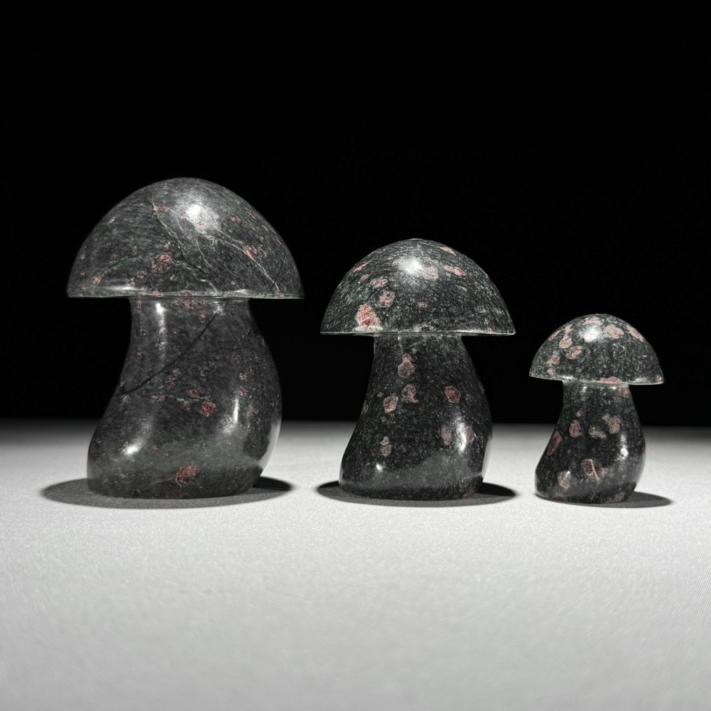 Χωρίς ελάχιστη τιμή - Υπέροχο σετ 3 ρουμπίνι ζοϊσίτη Μούρα-σχήμα- 1500 g - (3) #2.1