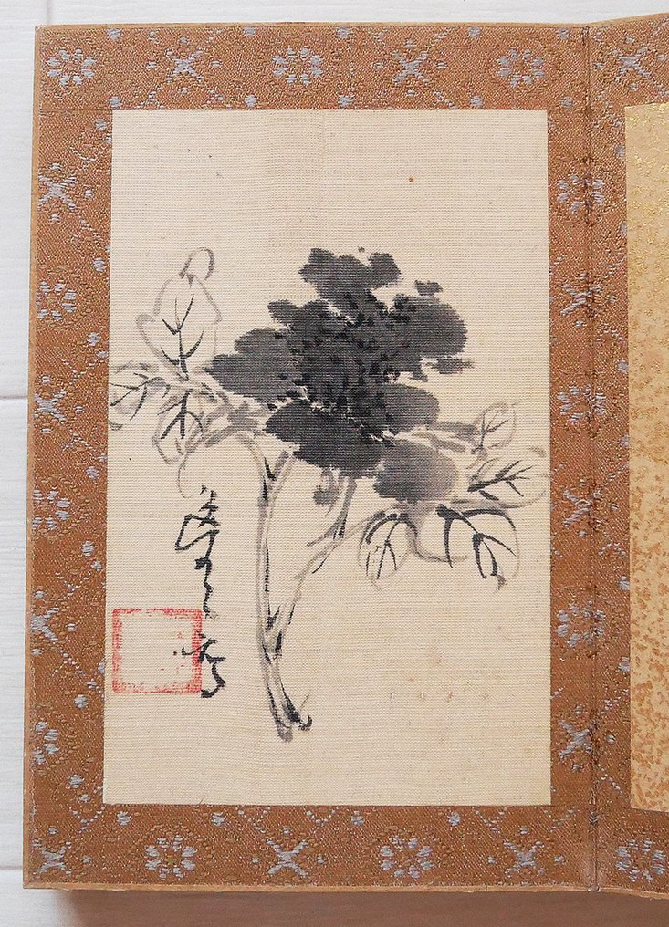 非常精美的水墨画集,描绘不同植物,签名。 - 真丝 - Kinoshita Itsuun (1800-1866) - 日本 - Late Edo period #4.3