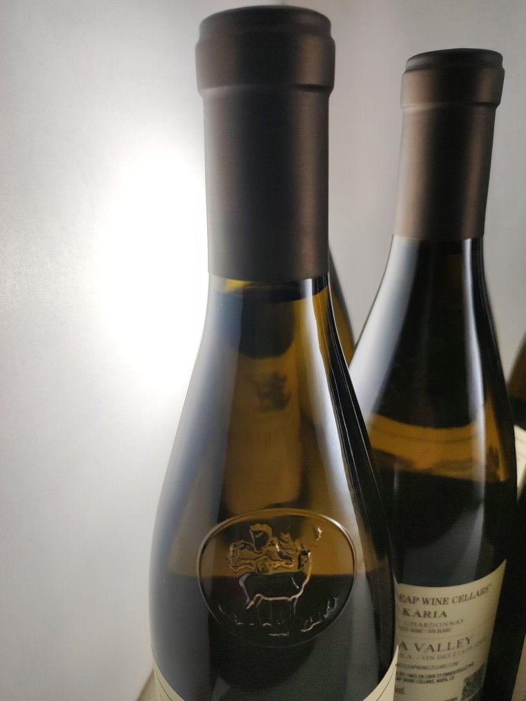 2023 Stag's Leap Karia Chardonnay - Κοιλάδα Νάπα - 12 Bottles (0.75L) #3.2