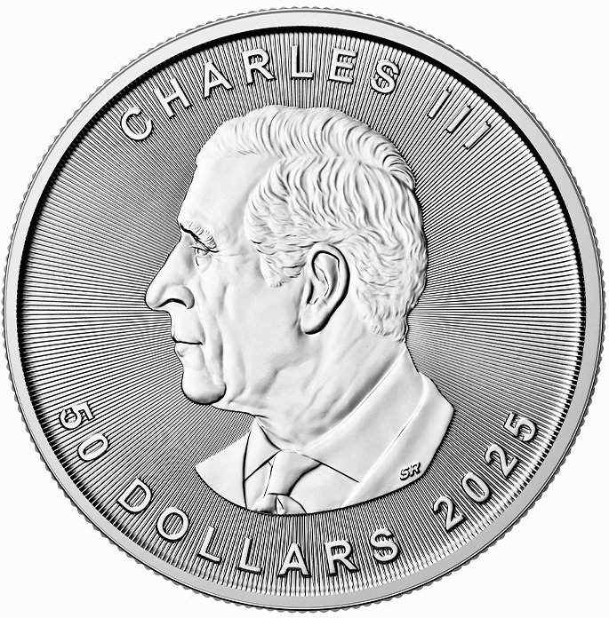 1 Troy Ounce - Silver .999 - maple Leaf  2025 - 31,1 gram - fine Platinum #1.0