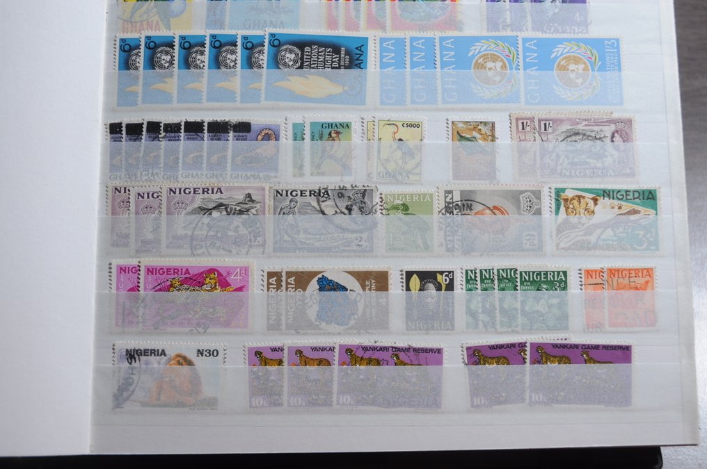 World  - Extensive search with various countries and quantities in stock books (200 photos). #3.2