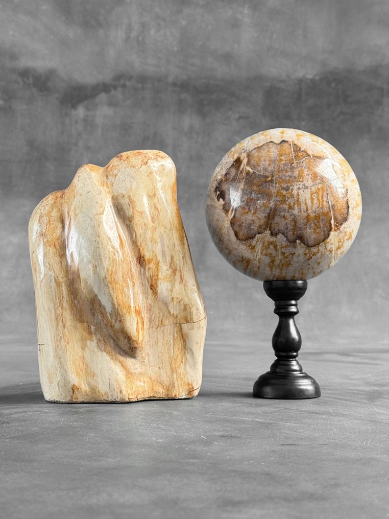 令人惊叹的木化石自由形态和球体 - 化石木材  (没有保留价) #1.0