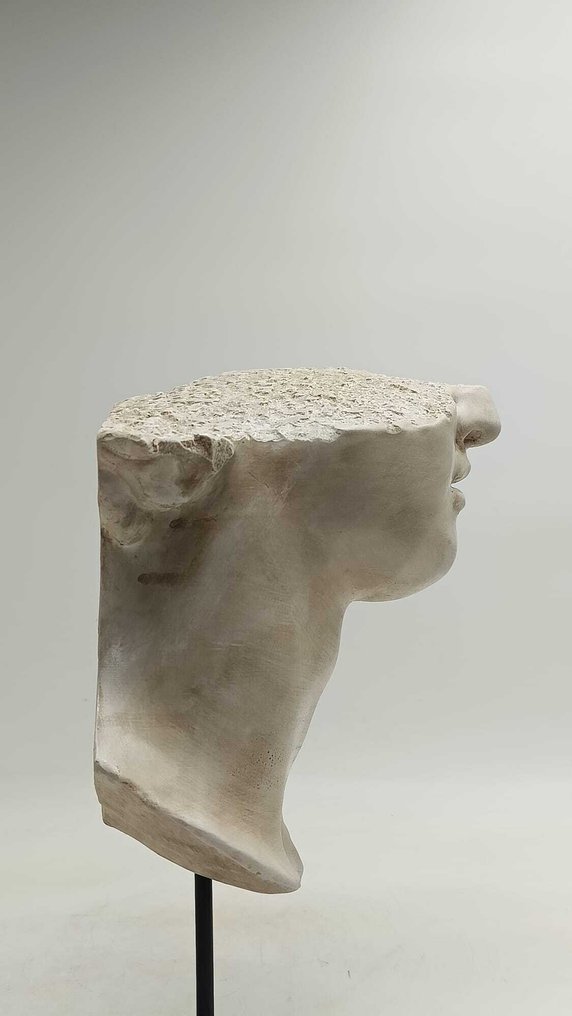 Sculpture, Volto di Alessandro Magno - 37 cm - marble dust #1.0