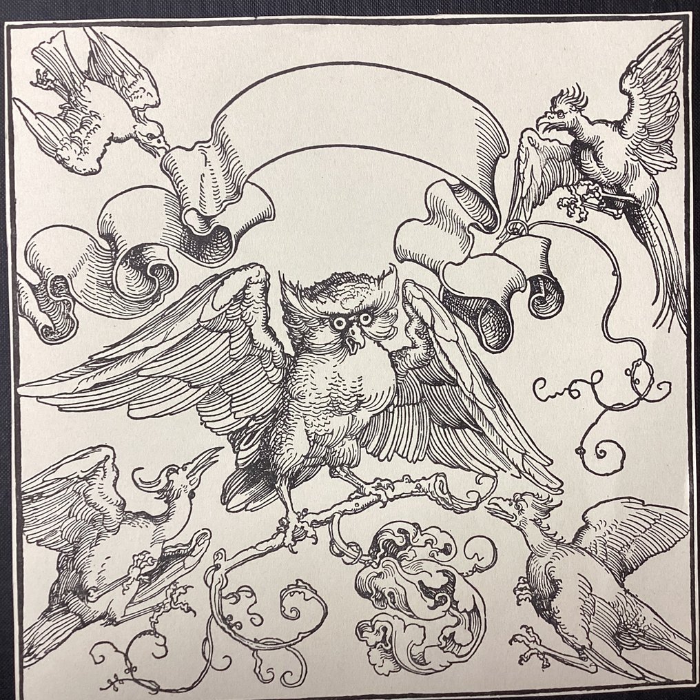 After Albrecht Dürer (1471-1528) - The Owl Attacked by Four Birds #1.0