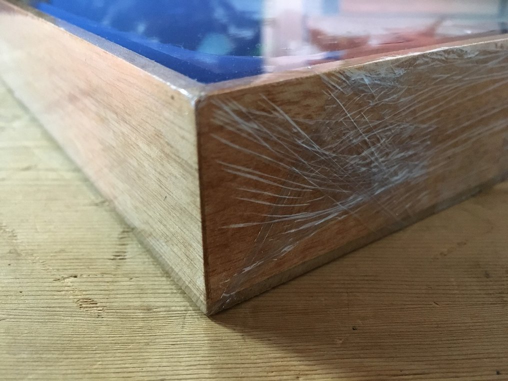 蜘蛛、蝎子、蝉、甲虫和锹甲（等等） 动物标本剥制全身支架 - Eurypeima spinicrus (etc) - 20 cm - 35 cm - 4 cm - 非《濒危物种公约》物种 - 1 #2.1