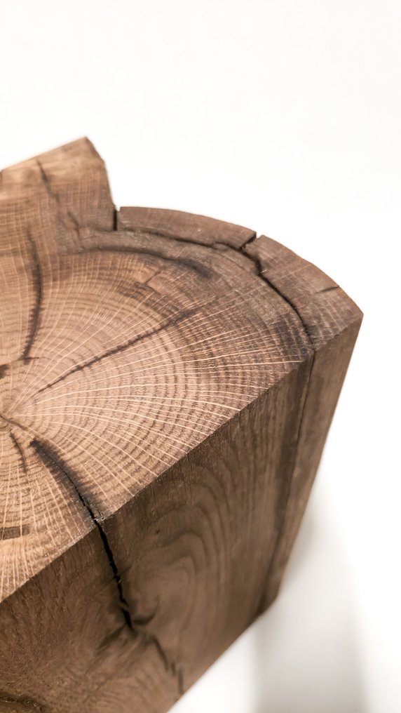 The Forest - Art & Woodworking Studio - Side table - Oak - Recycled Oak Log Coffee Table #2.1