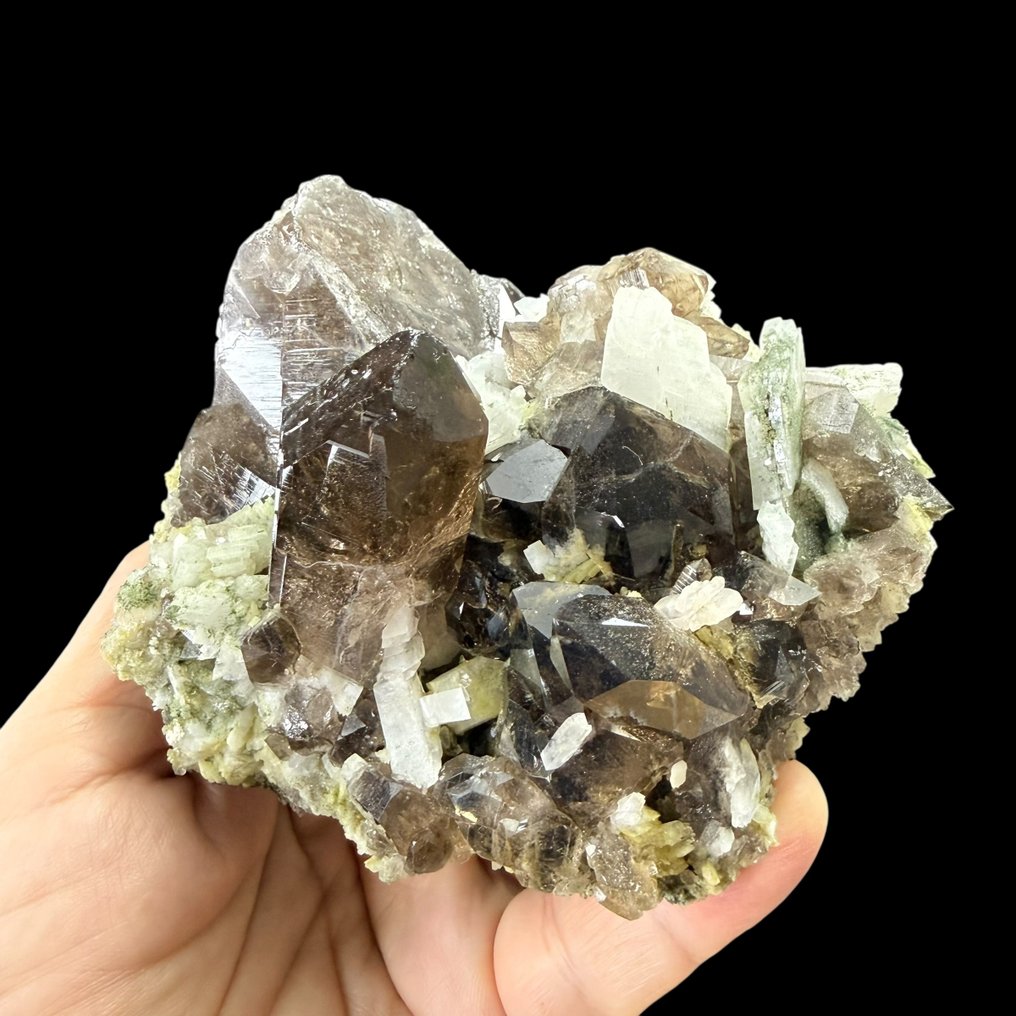 来自瑞士Val Giuv的优雅烟水晶与Adularia簇群。晶体最大长度达6.5厘米。 - 高度: 12 cm - 闊度: 9 cm- 620 g #4.3