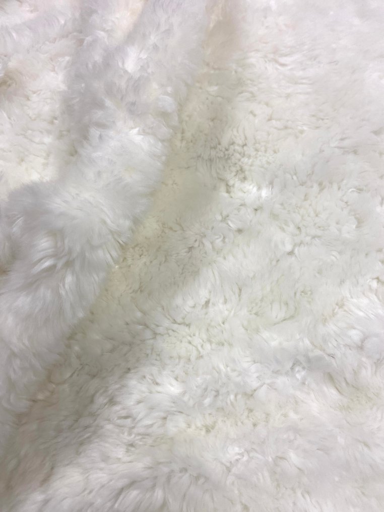 Splendid, consistent, and very soft cream white fur coat. - Upholstery fabric - 350 cm - 140 cm #4.3
