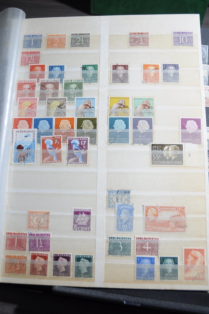 Dutch overseas territories  - Collection in diverse albums and stock books #1.0