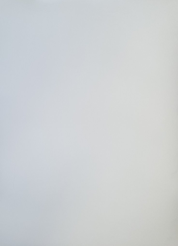 Norbert Bisky - Perfect Match, 2004 #1.0