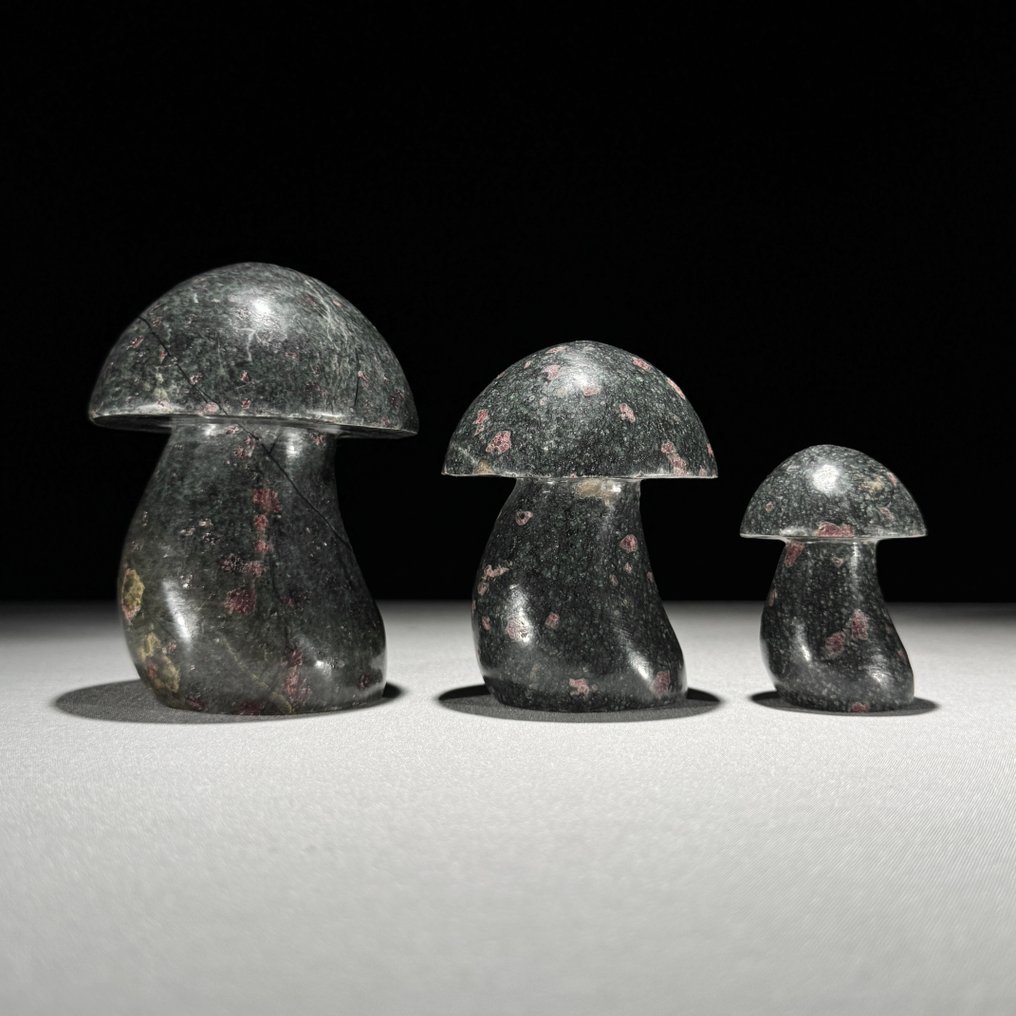 Χωρίς ελάχιστη τιμή - Υπέροχο σετ 3 ρουμπίνι ζοϊσίτη Μούρα-σχήμα- 1500 g - (3) #1.0