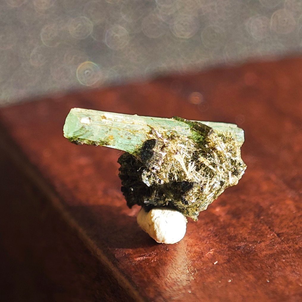 0.95 克拉 TOP DT 终切祖母绿 水晶在矩阵上！ - 高度: 11 mm - 宽度: 7.1 mm- 0.19 g #3.2