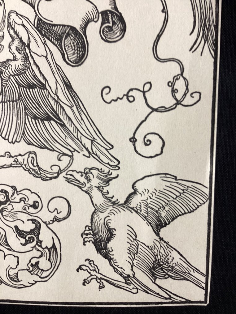 After Albrecht Dürer (1471-1528) - The Owl Attacked by Four Birds #3.2