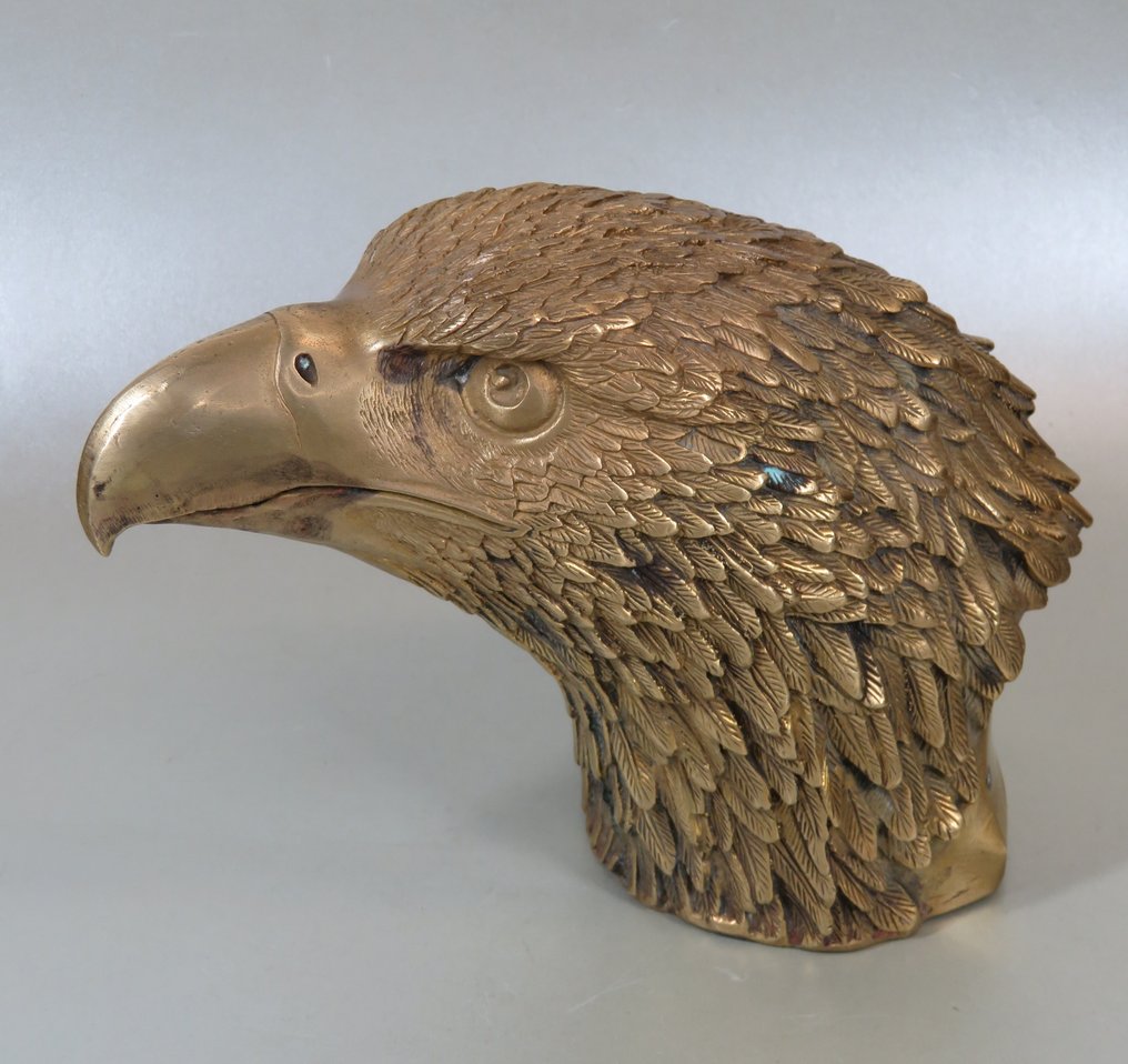 Αγαλματίδιο, Grote levensechte kop van een roofvogel - 16.5 cm - Μπρούντζος #2.1