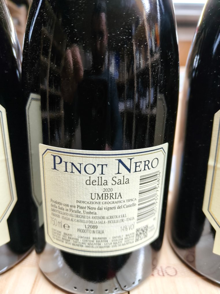 2020 Castello della Sala, Pinot Nero - Umbrien - 3 Flaskor (0,75L) #2.1