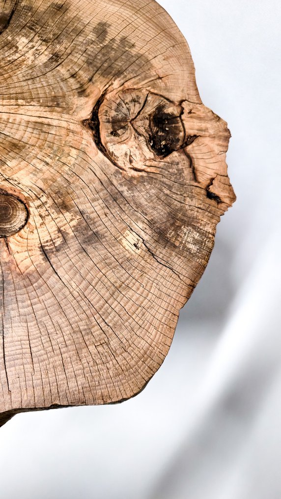 THE FOREST Art & Woodworking Studio - Coffee table - Beech - Unique Handmade Coffee Ta #3.2