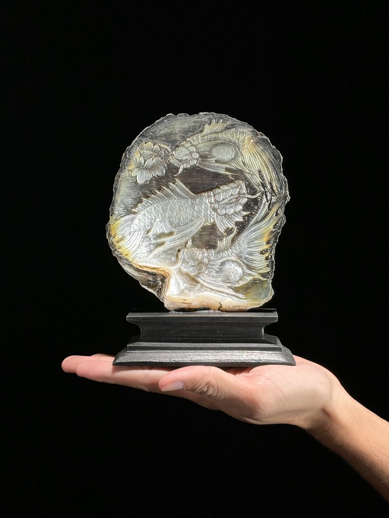 Λεπτομερώς χαραγμένο κοχύλι Mother of Pearl - Εκλεπτυσμένο ιαπωνικό μοτίβο koi fish. Κοχύλι - Pinctada Maxima  (χωρίς τιμή ασφαλείας) #1.0