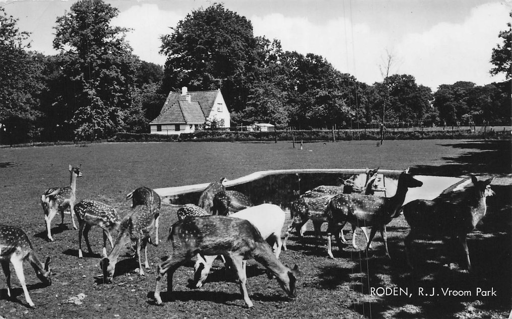 Ελάφια, κατασκηνώσεις ελαφιών, και φαντασία. - Καρτ-ποστάλ (95) - 1910-1965 #3.2