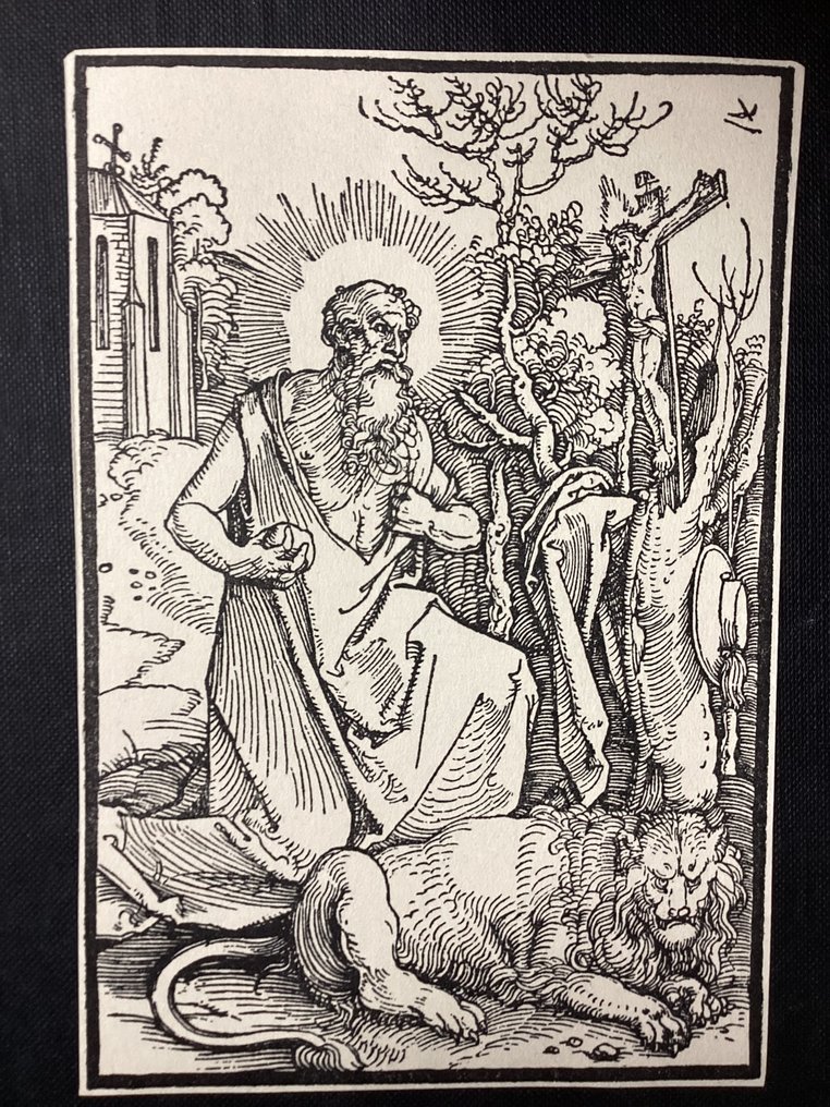 After Albrecht Dürer (1471-1528) - St. Jerome #1.0