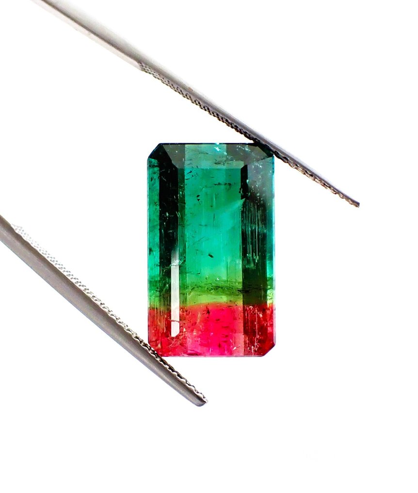 雙色 電氣石 - 9.39 ct - Antwerp Laboratory for Gemstone Testing (ALGT) - 西瓜色彩 #3.2