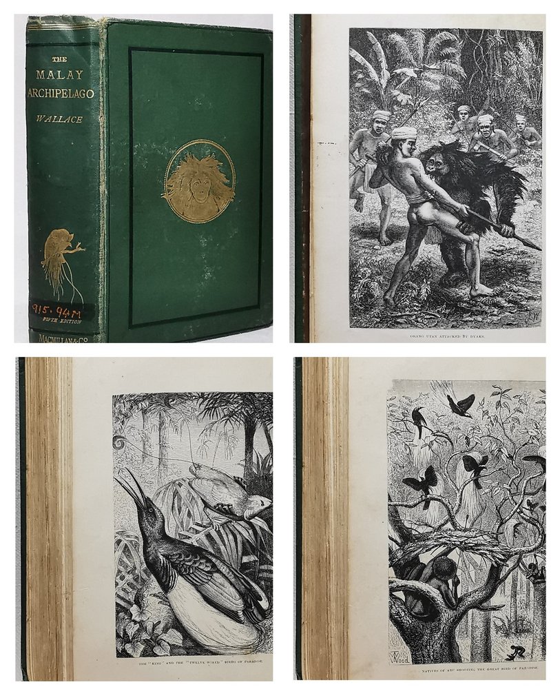 Alfred Russel Wallace - The Malay Archipelago - 1874 #1.0