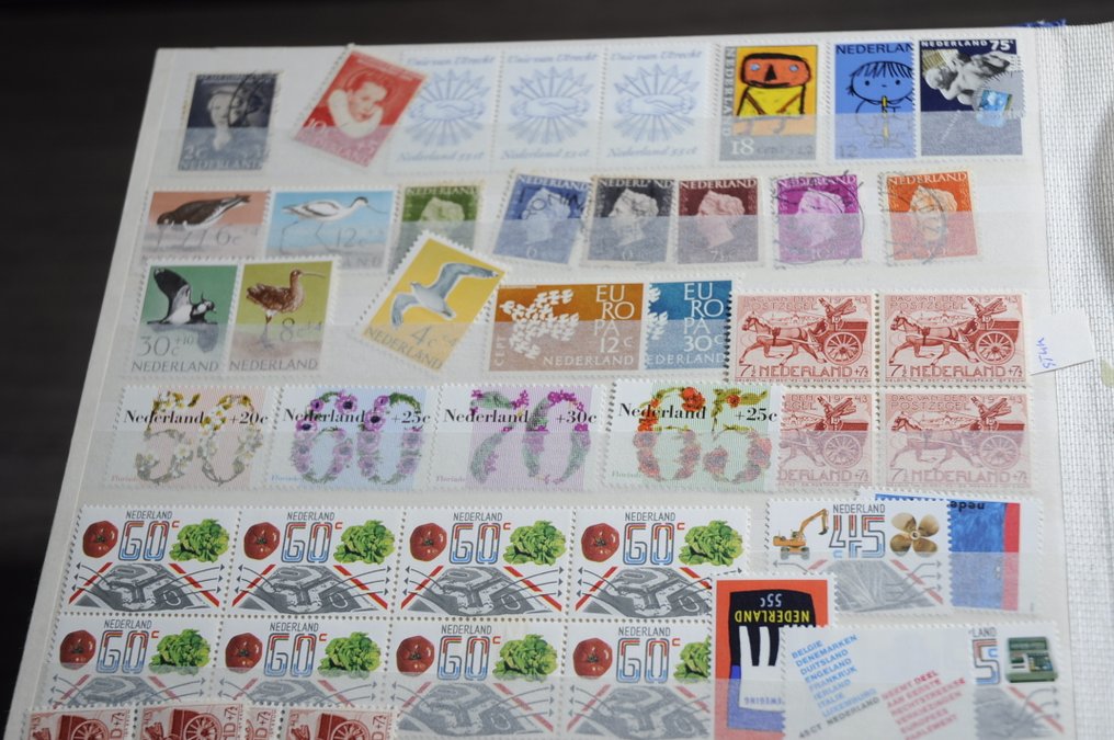 Netherlands  - Search in a DAVO album and various stockbooks (249 photos). #4.3