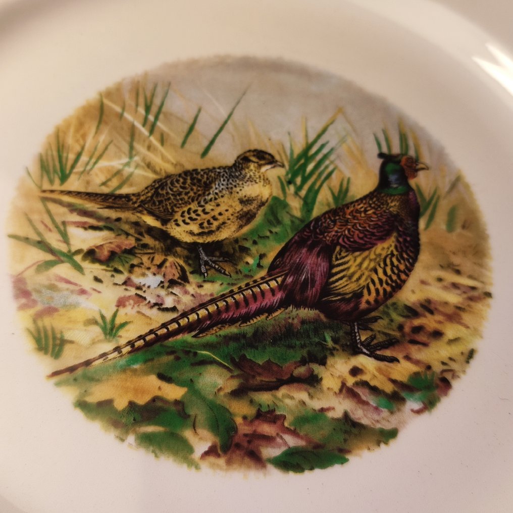 Moulin des Loups Orchies - 成套餐具 (13) - 羽毛鸟类的自然主义装饰 - 法国彩陶 - 服务猎物 / 狩猎 #1.0