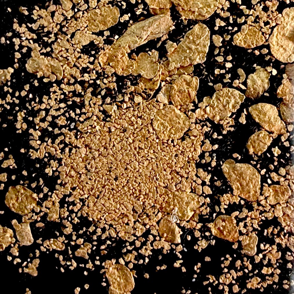 Elvo River Treasures, φυσικές χρυσές ράβδοι.- 1.12 g #4.3