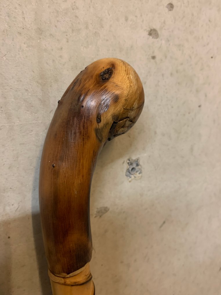 Μπαστούνι - Burrwood - Ξύλο καρότου? - 250 γραμμάρια #4.3