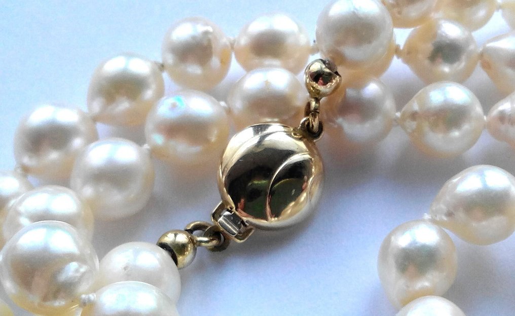 没有保留价 - 项链 14克拉黄金 - 9毫米以内的阿考珍珠 - 长度69厘米 #1.0