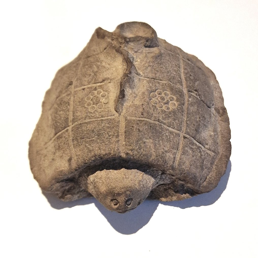 古代印度支那 粘土 重要的乌龟护符与魔法咒语铭文 - 100 mm #4.3