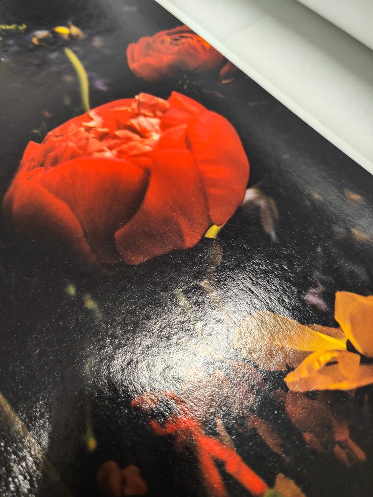 Viet Ha Tran - Secret whisper #2.1