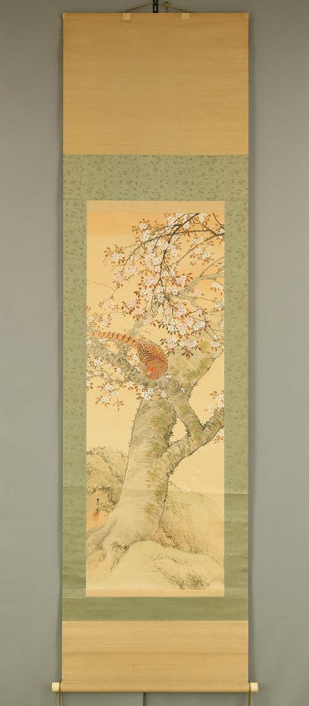 Pheasant Perched on Cherry Tree - with signature 'Hankei' 范溪 and seal 'Ken in' 賢印 'Hankei' 范溪 - Ιαπωνία (χωρίς τιμή ασφαλείας) #1.0