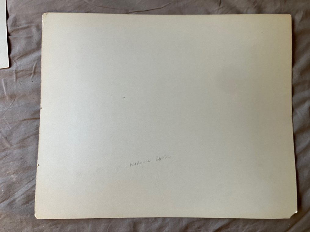 ND Phot (Napoleon Dufeu) - Chateau de Blois #3.2