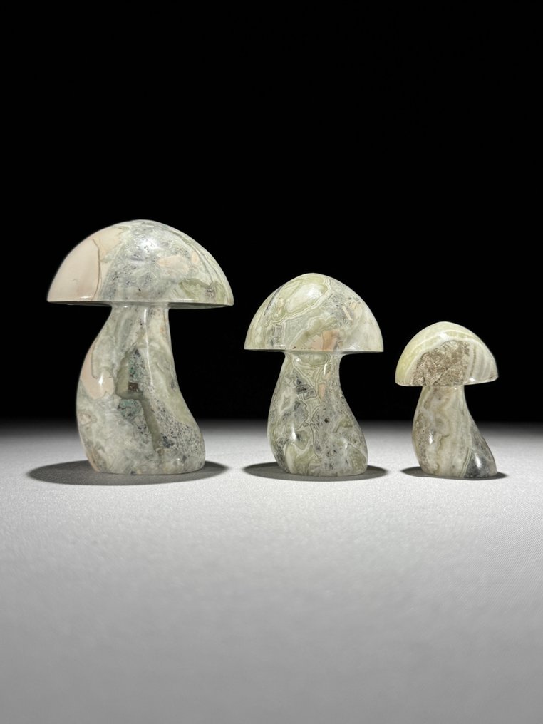 无底价 - 精彩的三件套缟玛瑙 蘑菇形状- 1000 g - (3) #1.0