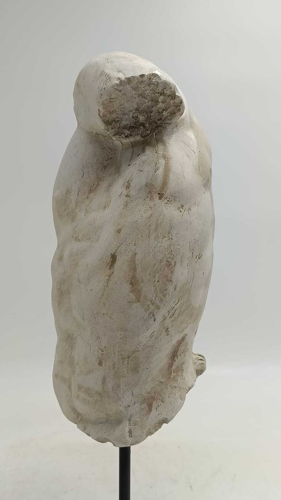 Sculpture, Torso Gaddi - 36 cm - marble dust #2.1