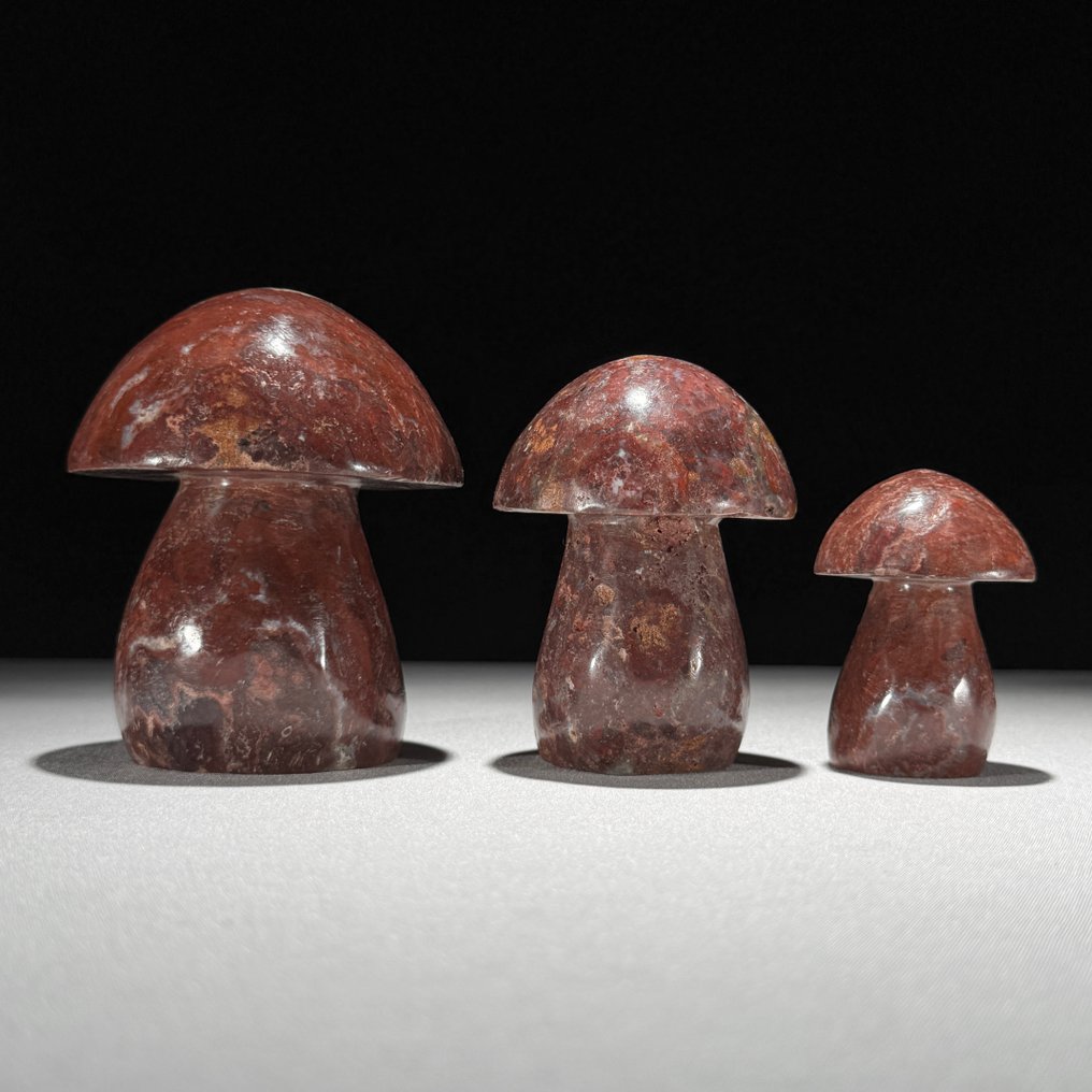 Inget utropspris - Underbart set med 3 Red Jasper Svampformad- 1300 g #3.2