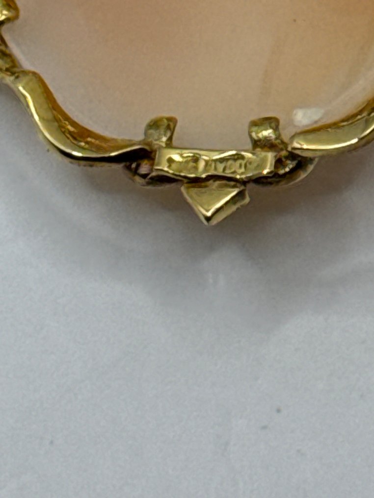 Brooch - 18 kt. Yellow gold - Cameo brooch or pendant #4.3