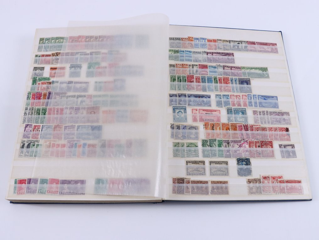 Newfoundland, Barbados, Cyprus & Guadeloupe  - Collection of different countries in a stock album. #2.1