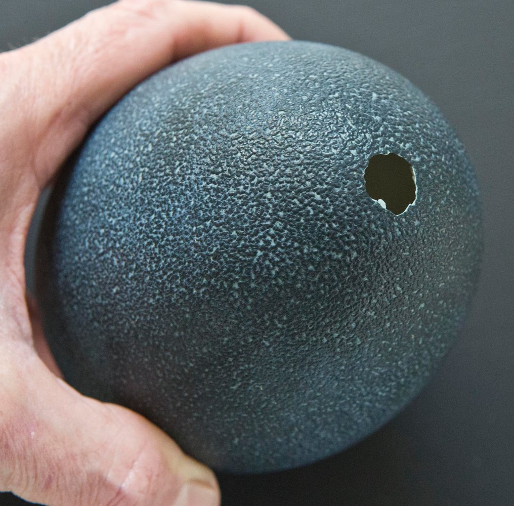 Emu Egg - Dromaius novaehollandiae - 15 cm - 0 cm - 0 cm- Non-CITES species -  (2) #3.2