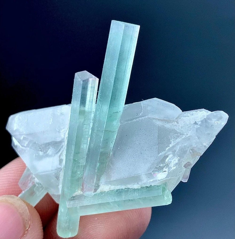 Άψογοι κρυστάλλοι τουρμαλίνης με δείγματα χαλαζία από το Αφγανιστάν. Δείγμα - Ύψος: 45 mm - Πλάτος: 41 mm- 17 g - (1) #3.2