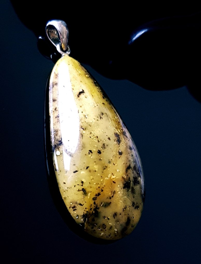 Κεχριμπάρι Μενταγιόν από φυσικό μπλετζικό κεχριμπάρι.- 7 g #1.0