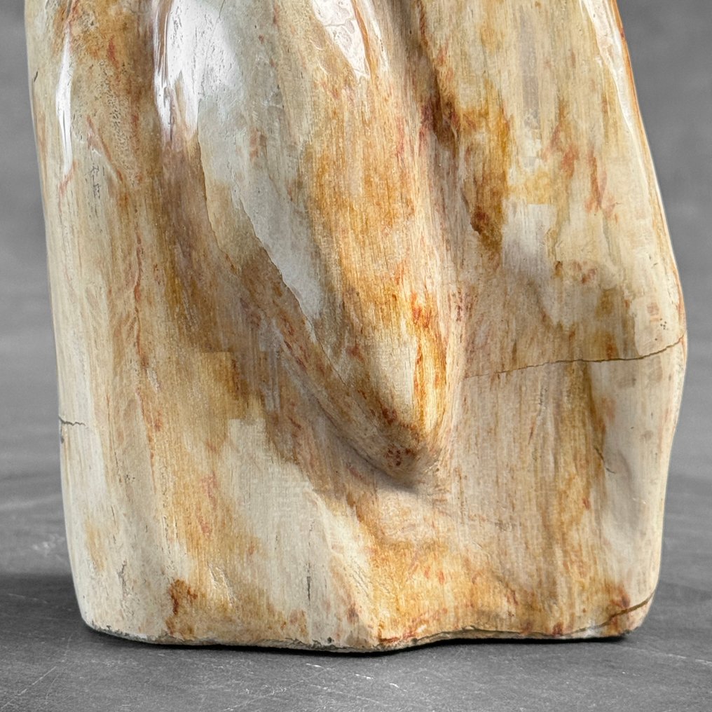 令人惊叹的木化石自由形态和球体 - 化石木材  (没有保留价) #4.3